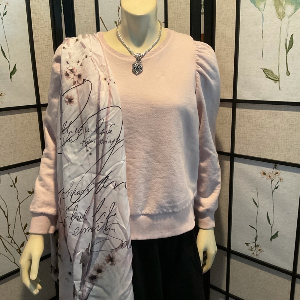 Stella and Dot Fleece Lined Sweatshirt